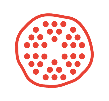 Pome Logo